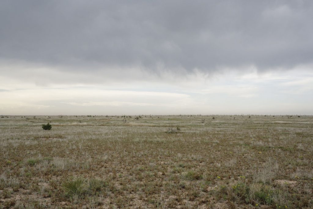 Theo Anderson: Field — Near Hope, New Mexico