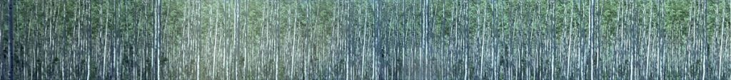 Tom Bamberger: Aspen