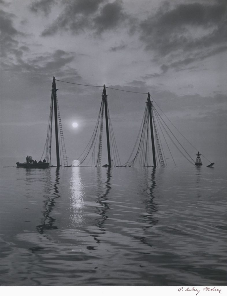 A. Aubrey Bodine: Final Trip