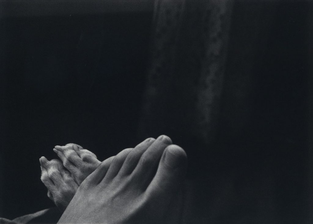 Martha Casanave: Dog and Leg