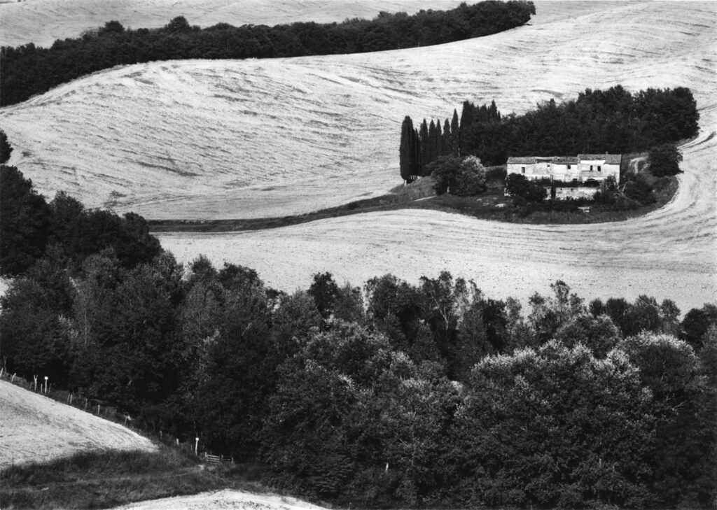 Paula Chamlee: San Giovanni d'Asso, Tuscany, 2001