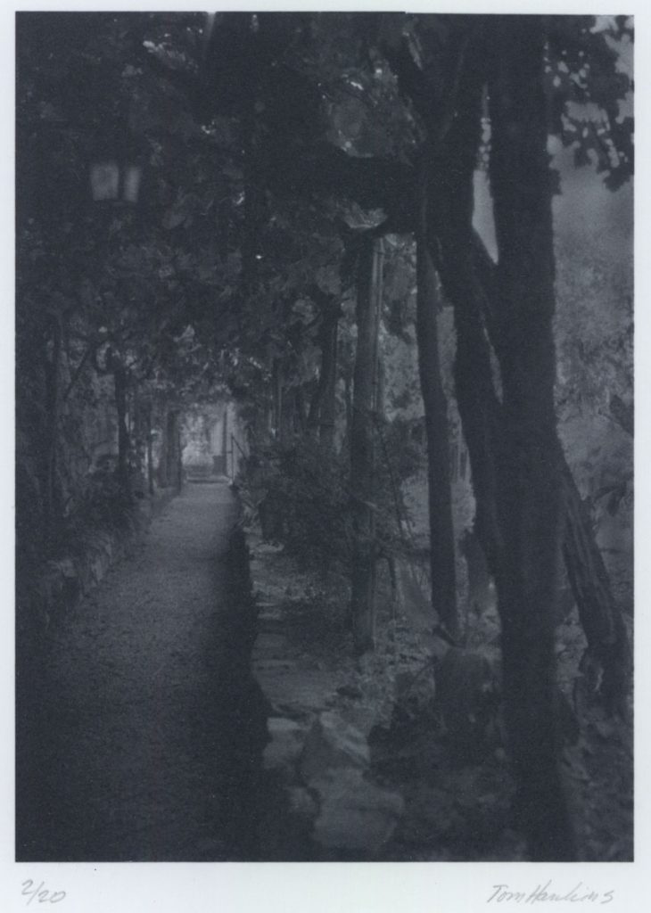 Tom Hawkins: Garden: Montefiorale