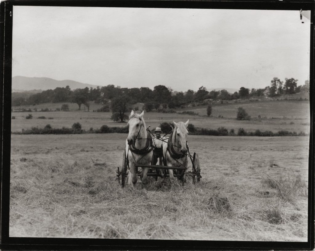 Lewis W. Hine: Man Plowing with a Team of Horses