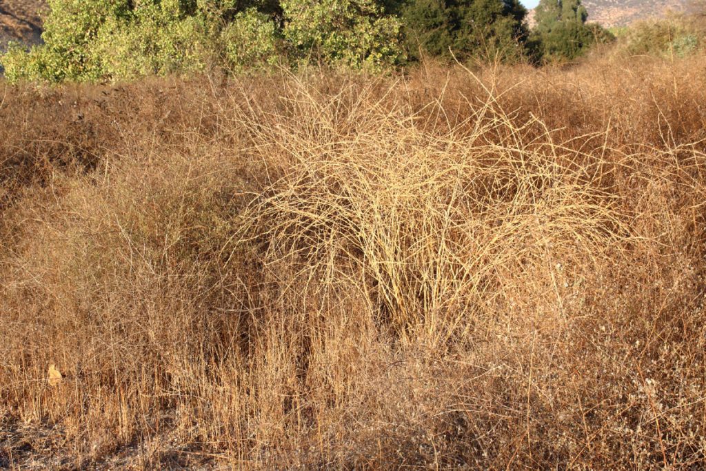 Addie Kaplan: The Unseen Landscape from Water Tower Field