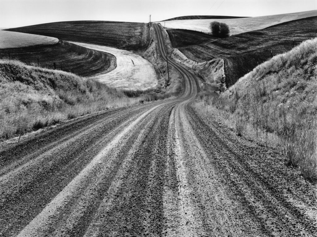 Don Kirby: Wheatfield, Ping Gulch Road, WA