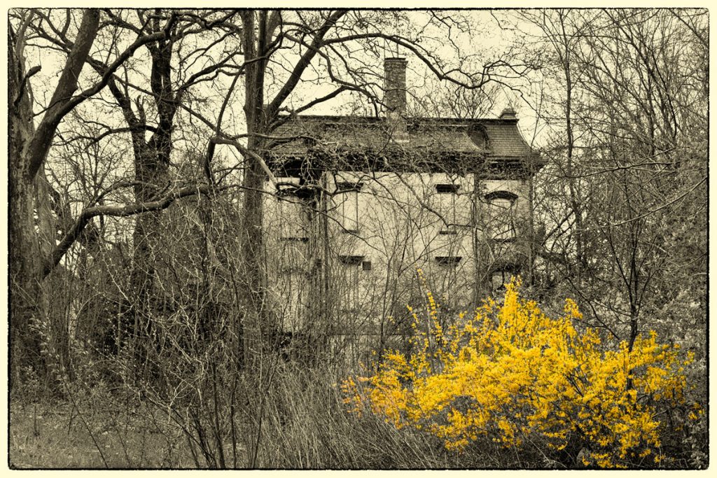 Barbara E. Leven: House in the Woods