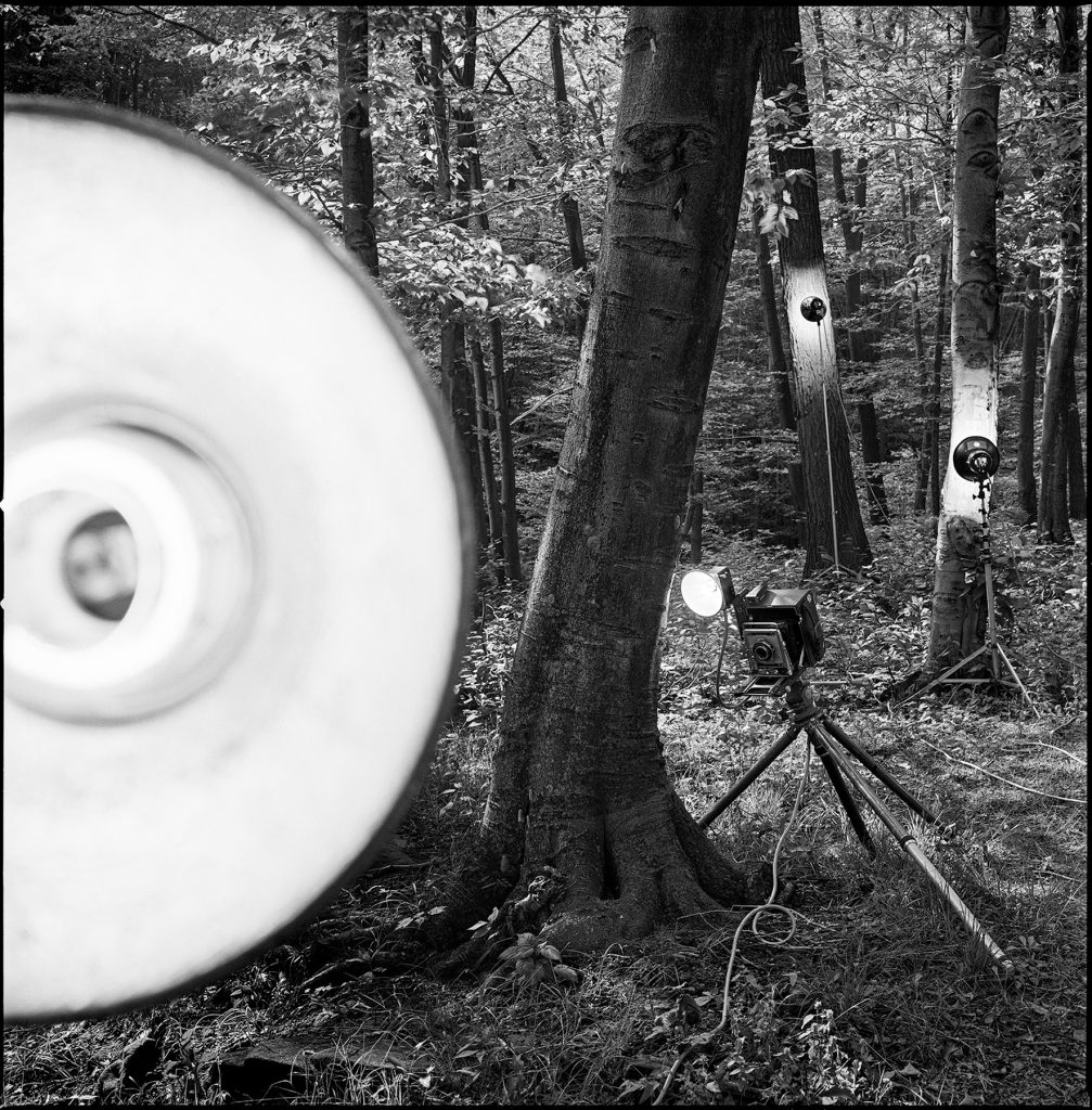 Mark Perrott: Laurel Highlands
