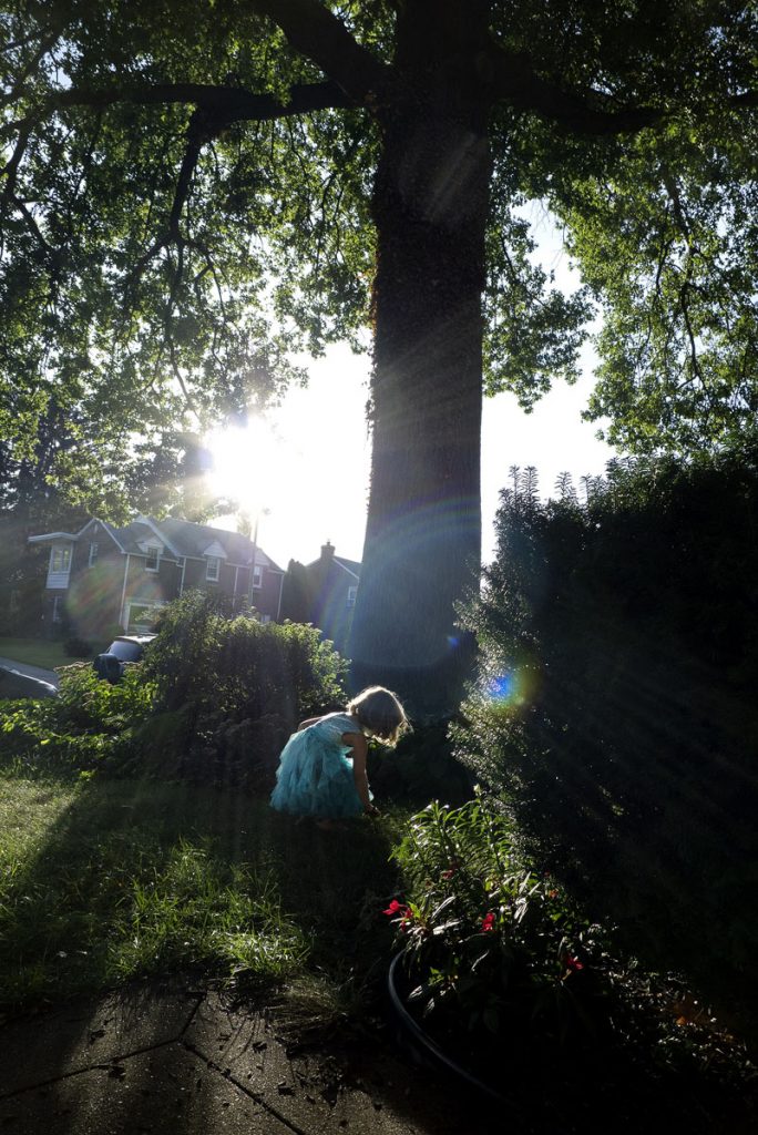 Amie Potsic: Girl in the Garden #3