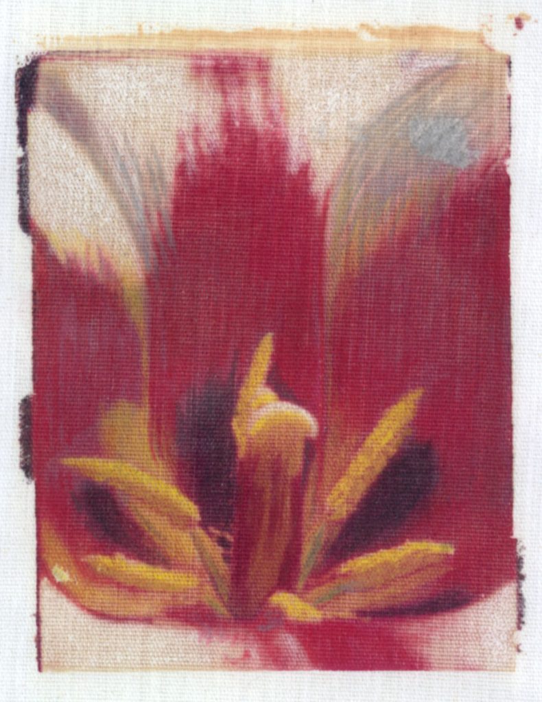 Gerald L. Shak: Floral