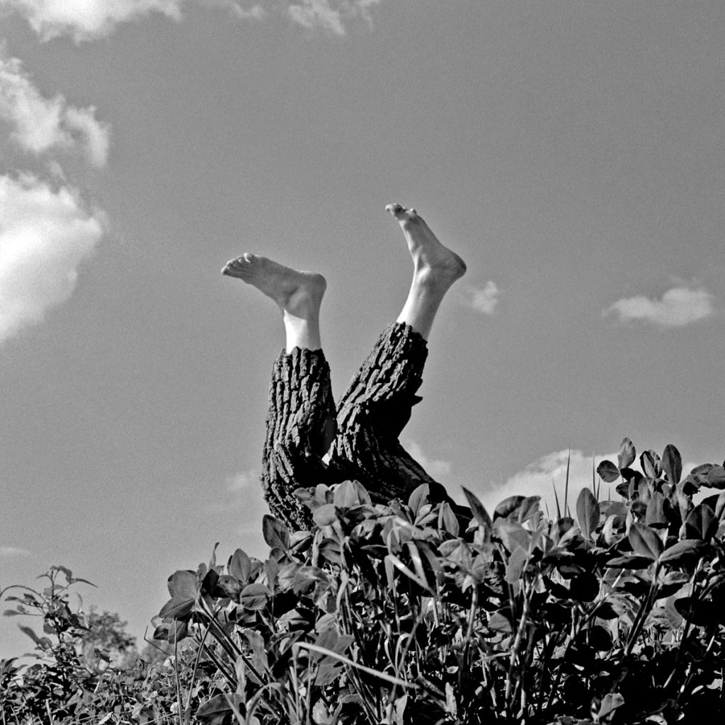 Keith Sharp: Leg Branches from Nature Boy Series