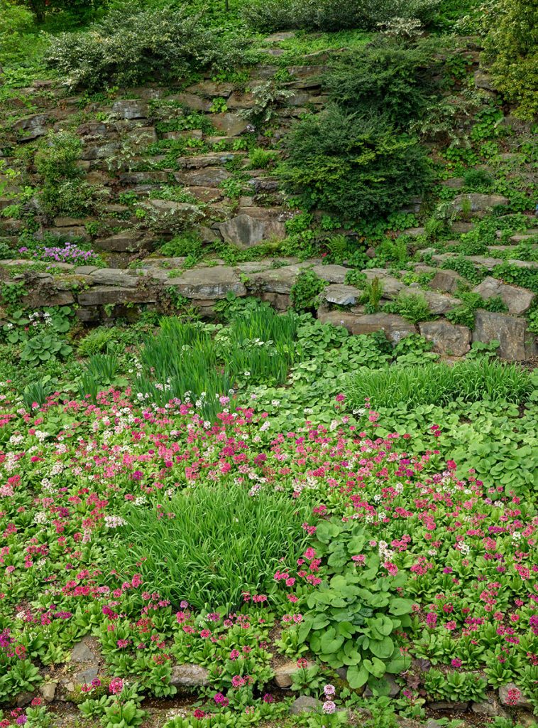Phil Straus: Quarry Garden