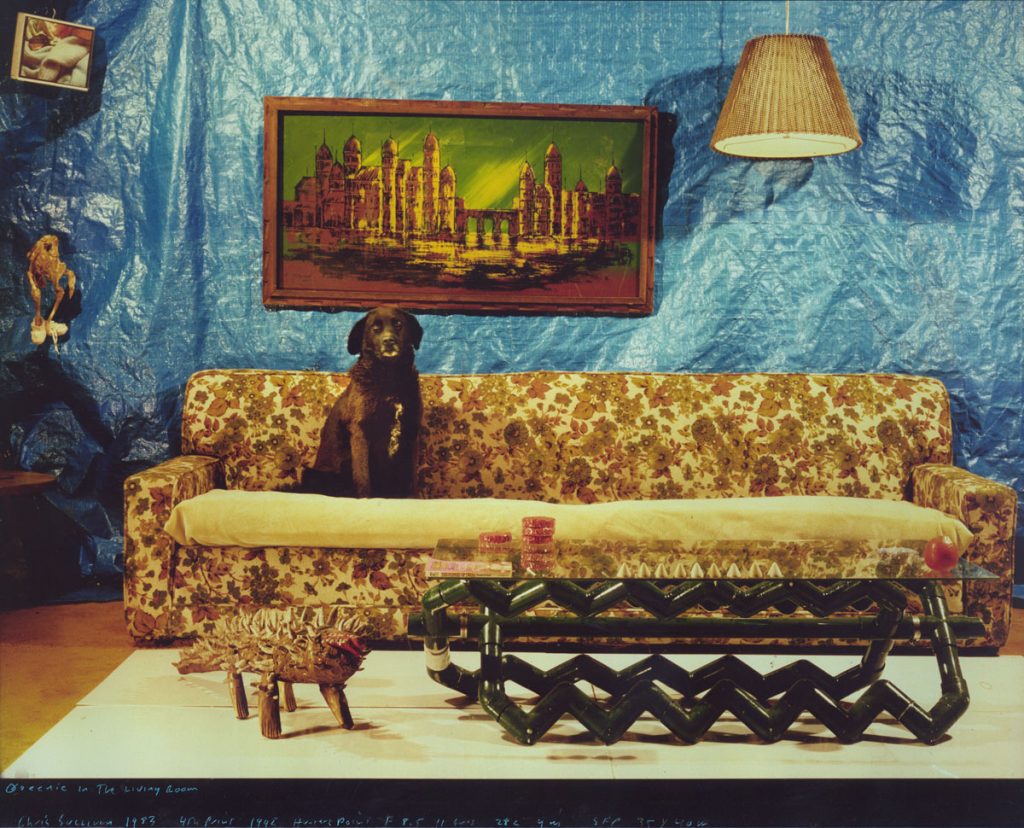 Chris Sullivan: Queenie in the Living Room