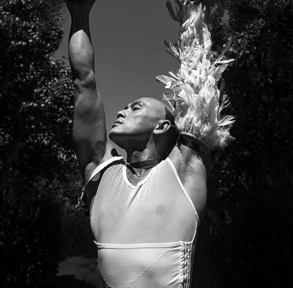 Sandra Chen Weinstein: The Metamorphosis #6
