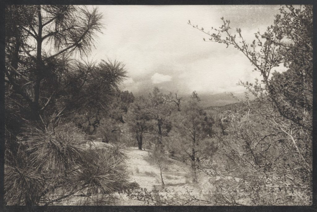 Madelyn Willis: Canyon Overlook, Precipice